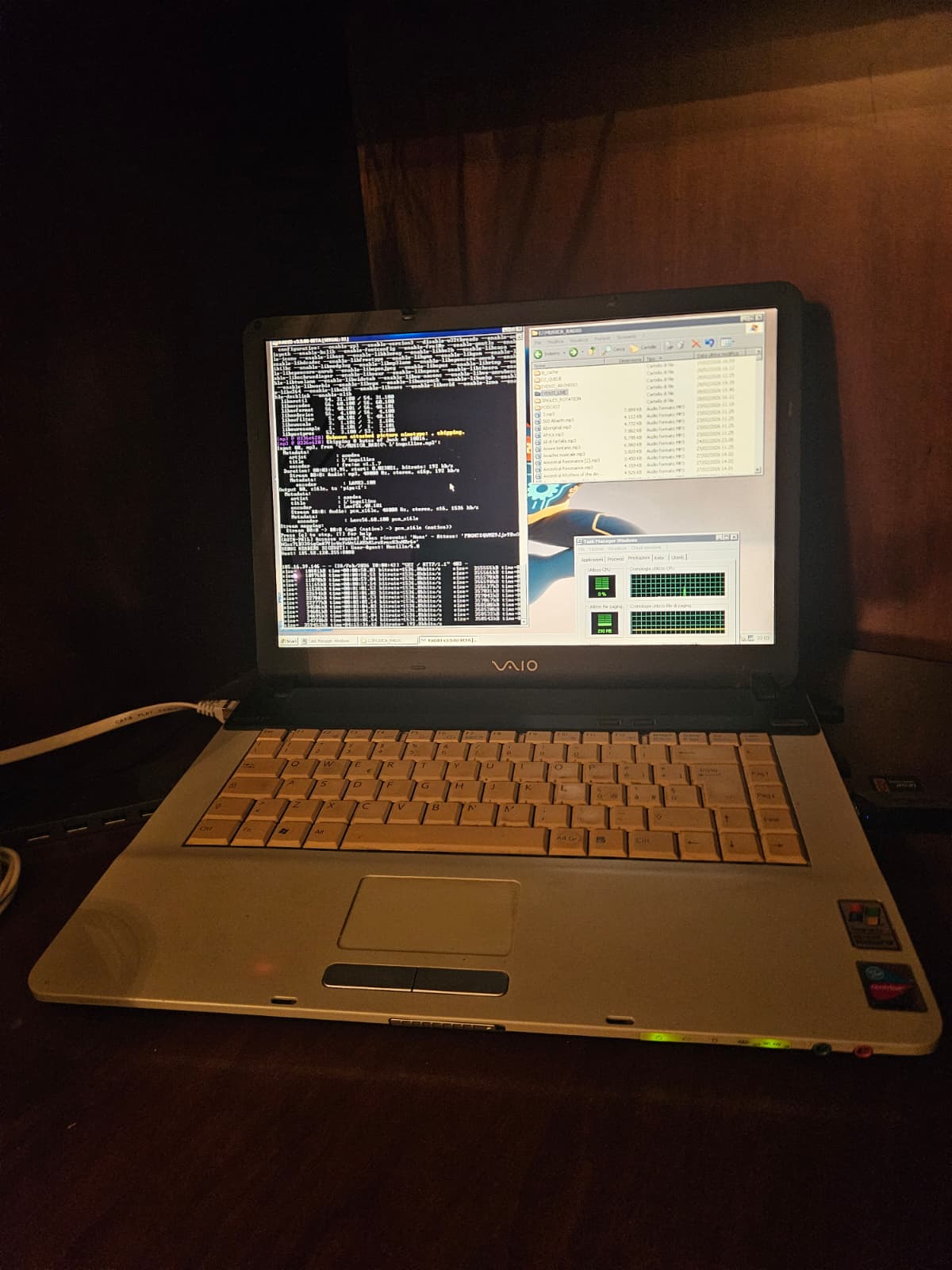 Sony Vaio in regia